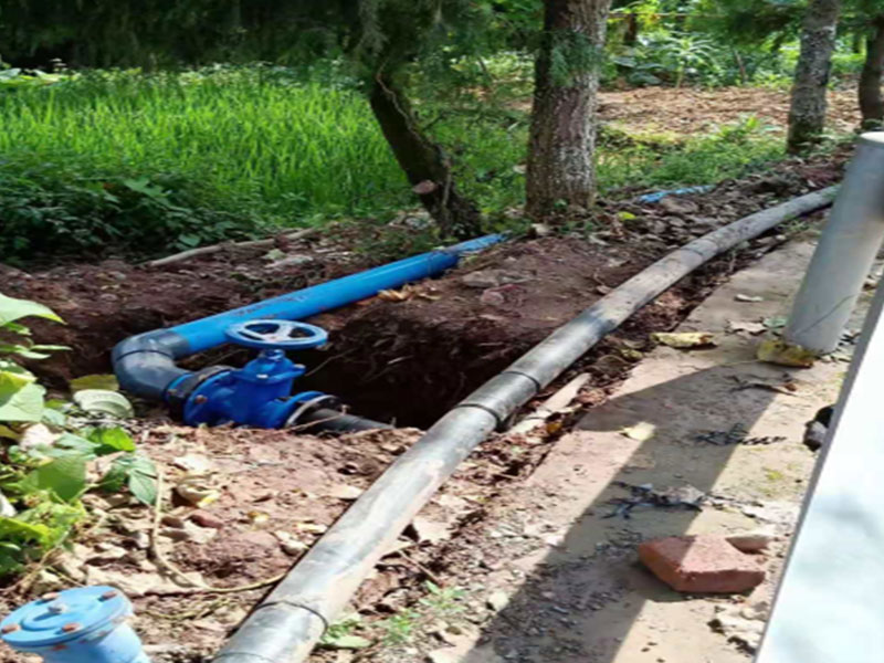 2019 Rural Drinking Water Security Consolidation and Upgrading Project, Wanzhou District, Chongqing Municipality (DN110)